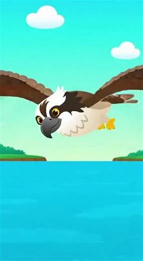 Celebrating the Seahawks' Superbowl win with a little science 🦅✨ Fun fact: there’s no official bird called a seahawk — but ospreys are often given that nickname because they hunt fish by diving straight into the water. Before they plunge in, ospreys actually close their nostrils to keep water out. Nature is clever. Science is awesome. #CourtsysClassroom #Seahawks #OspreyFacts #AnimalAdaptations #FunScience