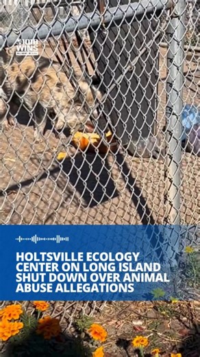 🐆 The Holtsville Ecology Site Zoo & Animal Refuge is being shut down by the Town of Brookhaven after multiple former employees came forward with claims that the animals at the Long Island zoo were neglected and abused. Kaitlyn Lombardi, who used to work at the refuge, said that the staff took extended breaks while saying there was "not enough time" to maintain proper cleanliness, leaving animals in dire conditions. "Peanut the goat, I don't believe she's still alive, she would be locked in the 
