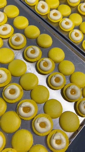 560K views · 9.3K reactions | Making 1000 macarons a day ‍ #bakeryowner #bakerlife #baking #fyp #avatarthelastairbender #dune #leapyear #internationalwomensday #pfw | Brooki Bakehouse | Facebook