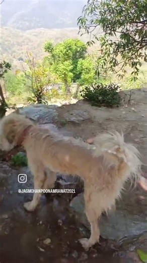 purani video h