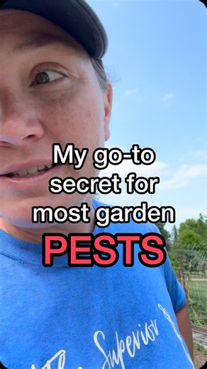 1K reactions · 123 shares | I use diatomaceous earth (DE) to protect...