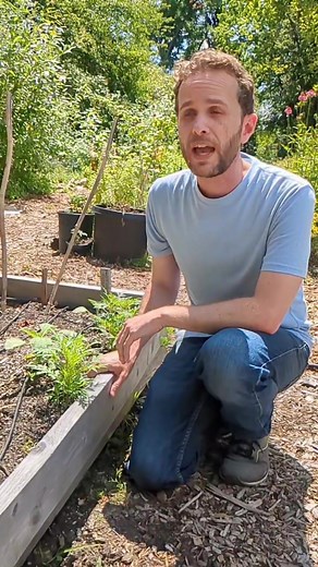 Drip Irrigation Tips with Chris  Join us July 15th at the Good Shepherd Center for our Drip Irrigation class. Learn how easy it is to water your garden with resource-efficient drip irrigation! This class features a lecture, garden tour and hands-on opportunity to assemble components of a drip system. There are limited spots so snag one before they're all gone. Visit https://tilthalliance.org/event/drip-irrigation-for-the-home-gardener-2/ to sign up! | Tilth Alliance | Facebook