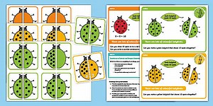 EYFS Maths Addition Chilli Challenges: Ladybird Number Bonds of 10