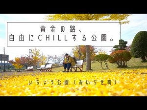 [Statue of Liberty] AOMORI Oirase Town/Icho Park