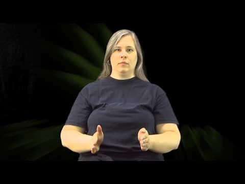 Learn How to Sign the Word Person