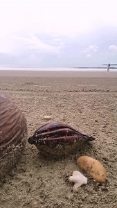 Seek Ye first the kingdom of God, And His righteousness, And all these things, shall be added onto you, Alleu, alleuia https://www.christian-songlyrics.net/2014/12/seek-ye-first-lyrics.html #christiansong #Christiansonglyrics #PraiseAndWorship #gospelmusic #religious | Christian Song Lyrics