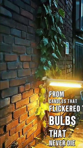 From Torches to Solar Panels: Light’s Epic Journey | The Evolution of Light