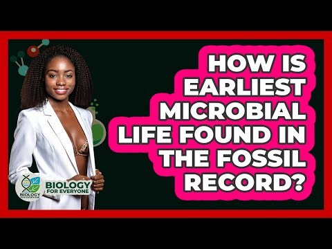 How Is Earliest Microbial Life Found In The Fossil Record? - Biology For Everyone