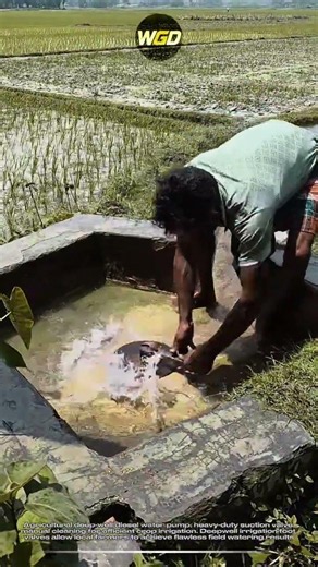 Agricultural water pump: heavy-duty suction valve manual cleaning for efficient crop irrigation