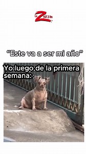 Así estamos terminando esta primera semana de enero 🥴😝 | La Z 107.3 FM