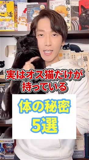 実はオス猫だけが持っている体の秘密５選 #猫 #猫のいる暮らし #ねこ