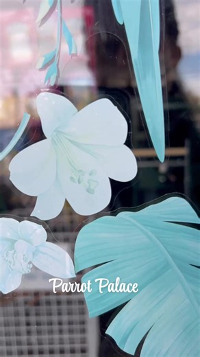 2K views · 46 reactions | Every morning when we walk into the store, our parrots are the first to let everyone know we’ve arrived — greeting us with loud chirps, happy flapping, and all the excitement in the world. 列✨ It’s impossible not to smile. Moments like these remind us why we love what we do. Our little feathered friends make every day worth it. 李李 | Parrot Palace | Facebook