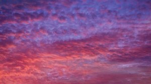 The Artful Living Collection: Serenity - Monthly Rental