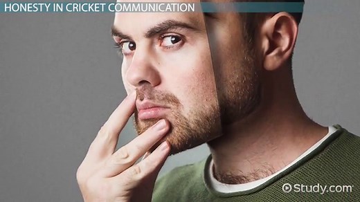 Chirping of Crickets | Overview, Reasons & Impact