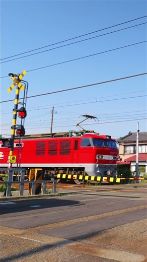 【踏切】カンカン音と電車通過｜JR 信越本線｜EF510系｜電気機関車｜ASMR｜レッドサンダー ｜Railroad Crossing
