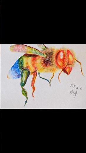 【蜂】３色の色鉛筆でオリジナルミツバチを描く【赤、青、黄色のみ】#色鉛筆#色鉛筆画 #アナログ #イラスト #Illust #イラスト動画 #蜂#bee#ミツバチ#蜜蜂#オリジナル