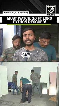 Must watch: Viral video of 10 ft long Burmese python being rescued from West Bengal’s Jalapiguri