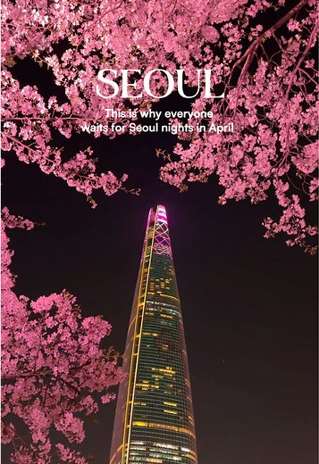 2026년 석촌호수 벚꽃 축제, 놓치지 마세요!