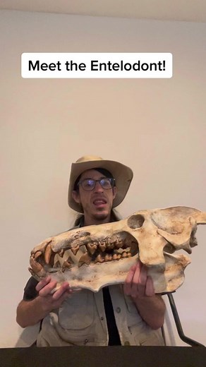 Discover the Terrifying Entelodont: The Monster of Prehistoric Times