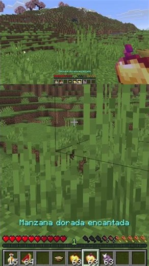 AppleSkin: The PERFECT Hunger HUD in Minecraft! 🔥 #Shorts