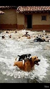 Top Learning Tools 🥰 for Tech Enthusiasts #shorts #shortsfeed #viralshorts