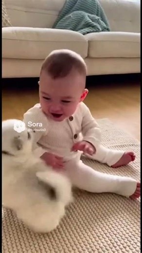 #赤ちゃん #犬 #baby #funny #cutebaby #cute #love #puppy