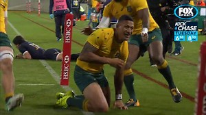 20K views · 183 reactions | The Kick & Chase team run through their key players for the weekend's matchup against the Springboks. | Wallabies | Facebook