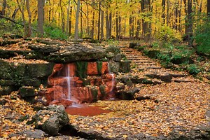 5 Natural Springs in Ohio and Where to Find Them
