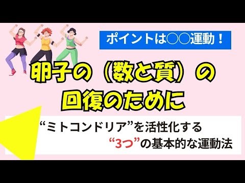 【卵子の(数と質)の回復のために】ミトコンドリアを活性化する運動法