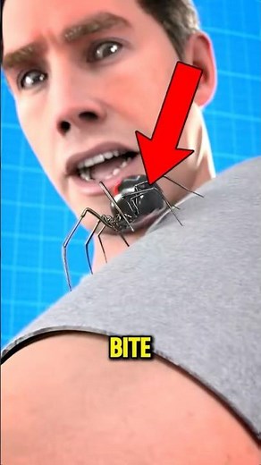 Spider Bites Aren’t Always Harmless Here’s Why 😱
