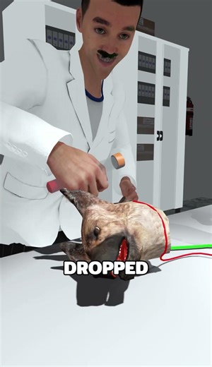 The Dog Head Experiment #facts #zackdfilm