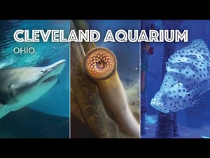 Greater Cleveland Aquarium Tour - Cleveland, Ohio