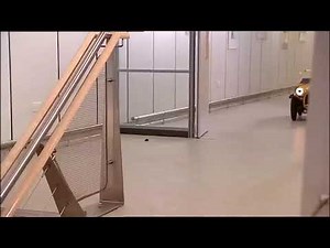 What If...Brum and the Airport Adventure + Homer Simpson + Dukes of Hazzard?