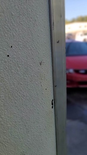 Honda Civic Coupe 2008 Tuning Options