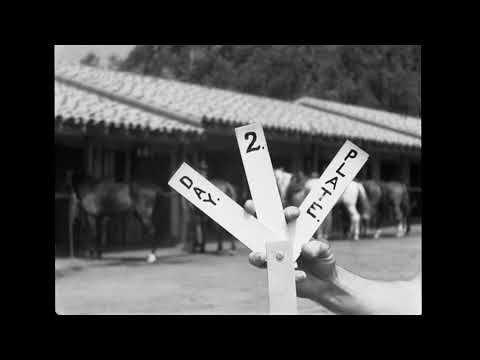 1940s Equestrian Life: Horses Parading & Vintage Stable Footage