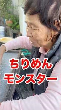 皆さんこの生き物を知ってますか⁉️ #ちりめんモンスター #お魚クイズ #船長の日常