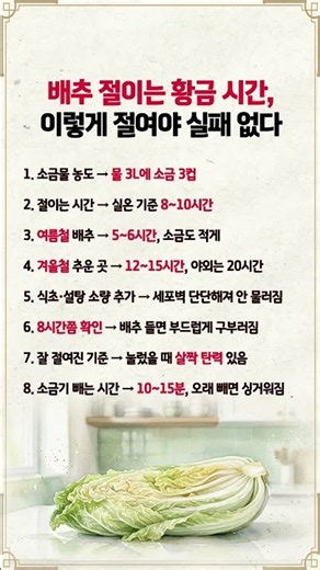 김치 담글 때 배추 절이는 시간, 이게 정답입니다 #배추절이는법#김장#김치담그기#살림꿀팁#주부꿀팁#생활정보