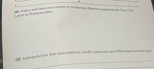 Q8. Draw a well label cross section of acoelomate flatworm expl... | Filo