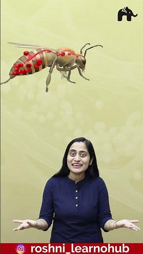 Body fluids and circulation Class 11 Biology with Roshni Mam #concepthogacrystalclear