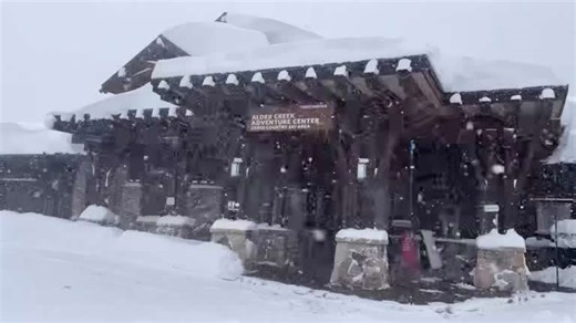 Eight skiers dead in California avalanche, ninth presumed dead