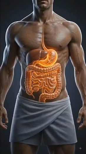 Digestive System Incredible 3D Animation | How Food Travels Through Your Body 🧠🍎 #shorts #biology