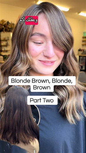 Blonde Brown Hair Transformation Tutorial
