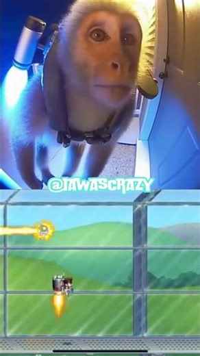 Crazy Monkey with a Jetpack Lands at My Door! 🐒🚀 #CrazyMonkey #Jetpack #Shorts