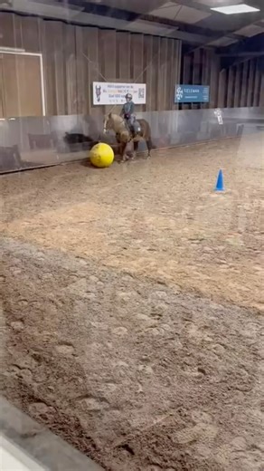 Lol met je knol op de biomanege! #biomanege #lolmetjeknol🐴❤️ #alleskaneenmensgelukkigmaken | Bio Manege