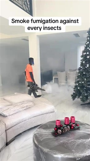 An apartment can look clean and still be infested. General fumigation isn’t about dirt, it’s about prevention.#fumigationservices #pestend #pestcontrol #roaches #fumigation
