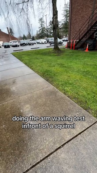 Squirrel Encounter: Doing the Arm Waving Test