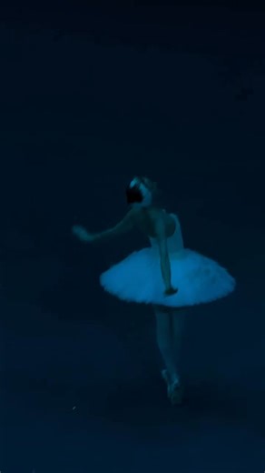 Swan Lake Anna Nikulina ©️ Bolshoi Theatre @Alina Vasilieva | Ballet Mon Amour