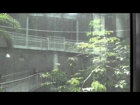 Otis Glass Underwater Elevators @ Rainforests Of The World - CA Academy Of Sciences