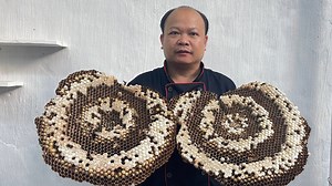 Best Giant Bee Pupa Recipe | Amazing Food Taste