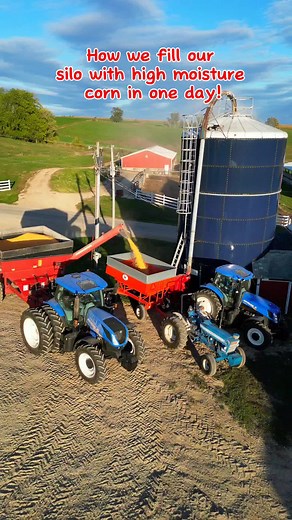 How we fill corn in our harvestore silo to feed our dairy cows!!#agriculture#farmer#newholland #fyp#farm#cattle#cornharvest#dairyfarm#corn#familyfarm